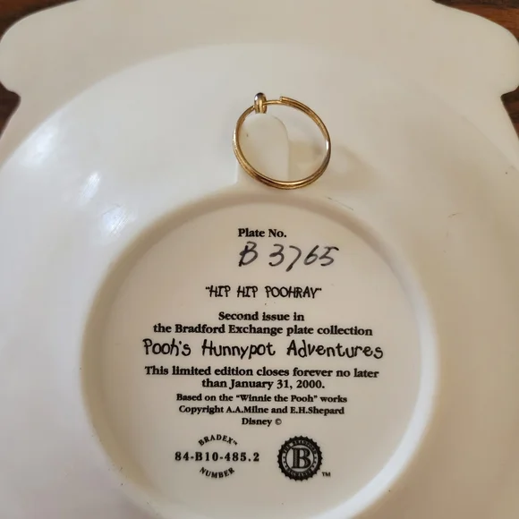 DISNEY Pooh's Hunnypot Adventures 3D Bradford Exchange Plates Vintage - Picture 5 of 7